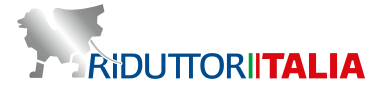 Custom Design Gearboxes - Riduttori Italia Srl