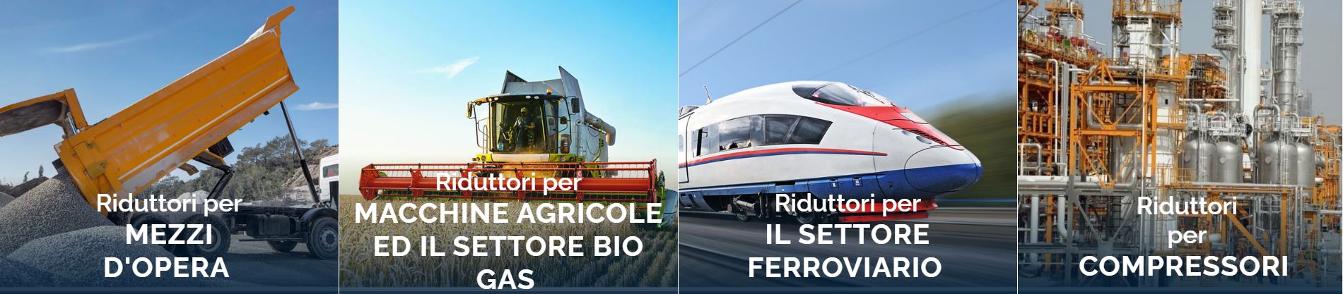 Riduttori di Grandi Dimensioni